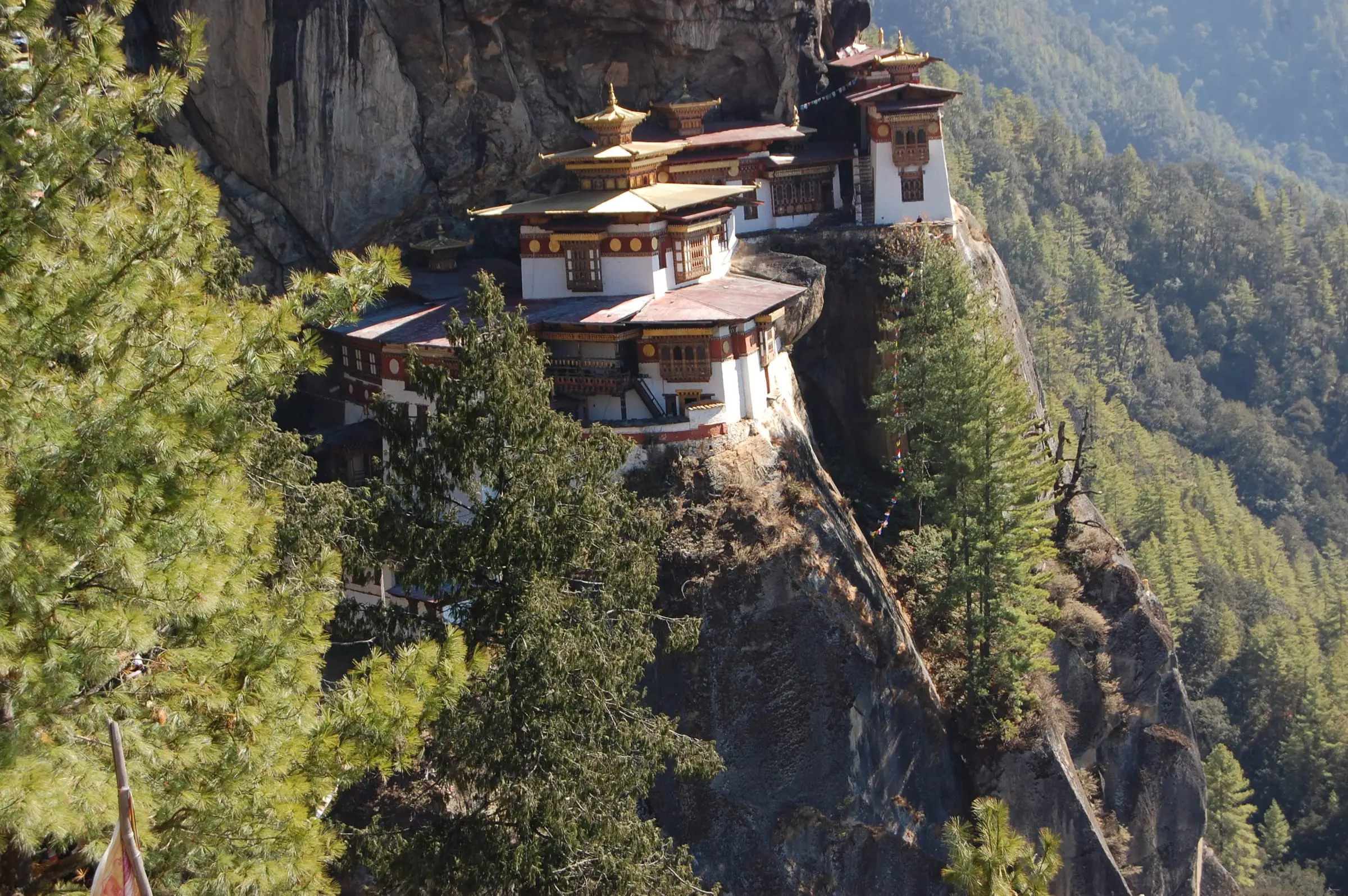 The monastery framed by pines on the cliffside