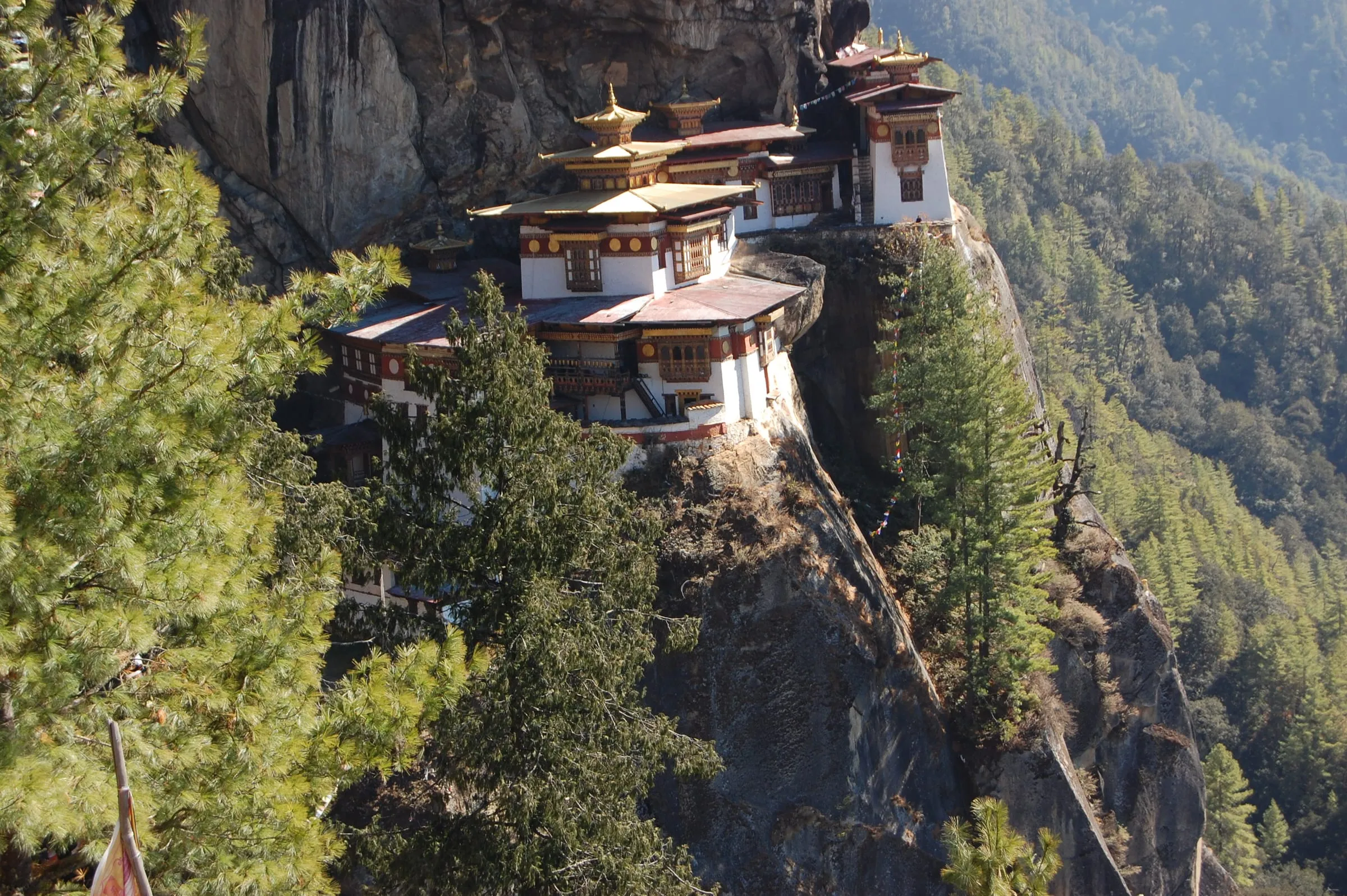 The Tiger’s Nest framed by pines on the cliffside