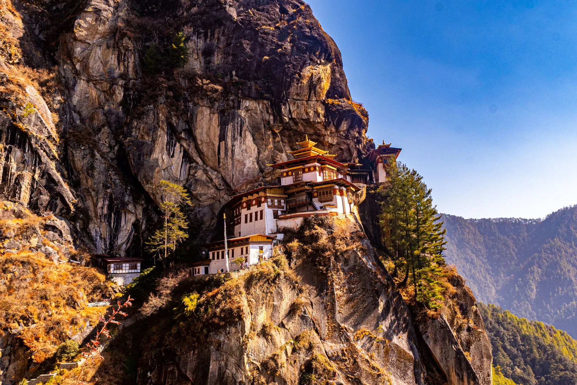 Paro Taktsang clinging to the cliff in golden autumn light